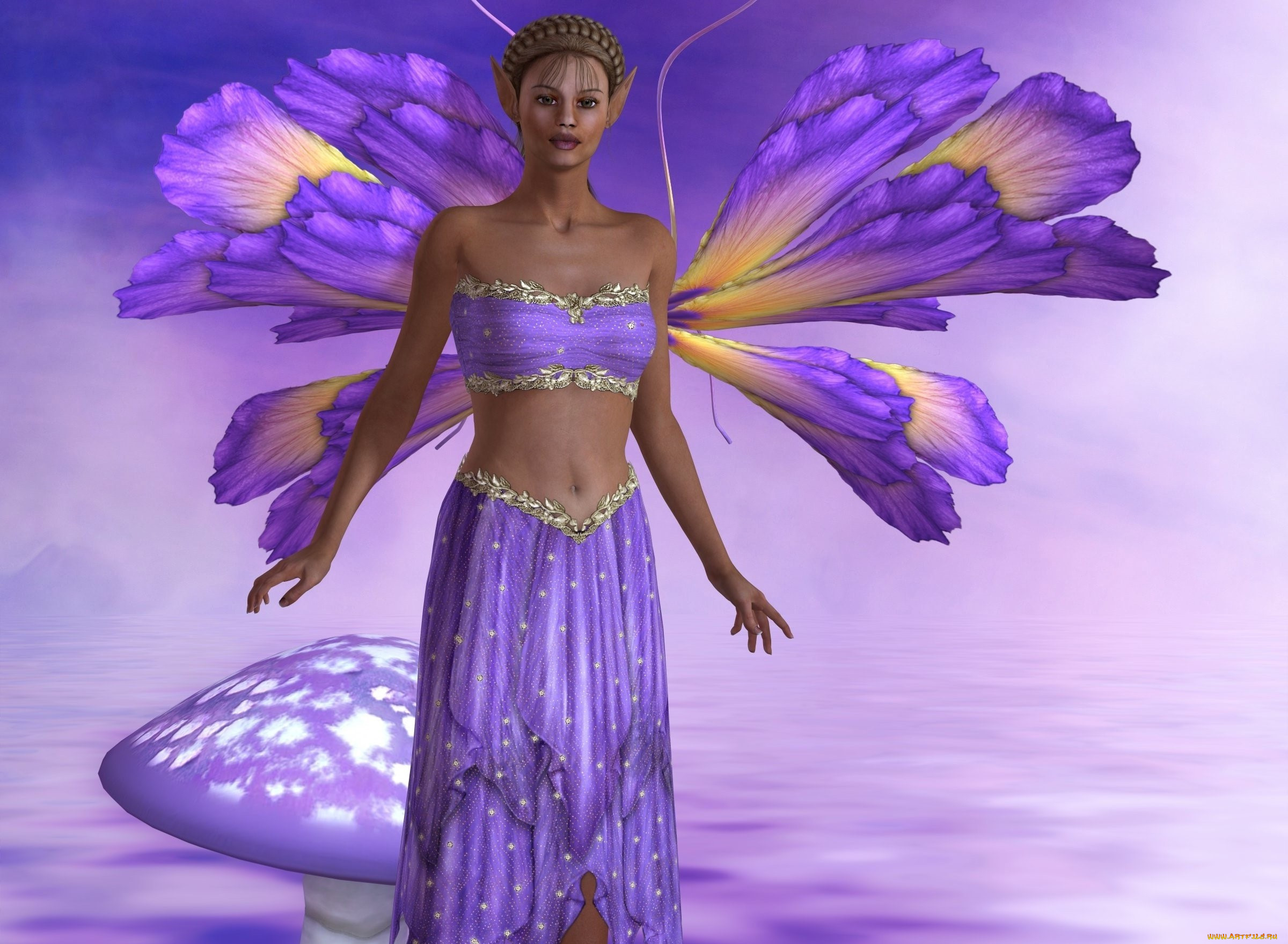 3 ,  , elves, , , 